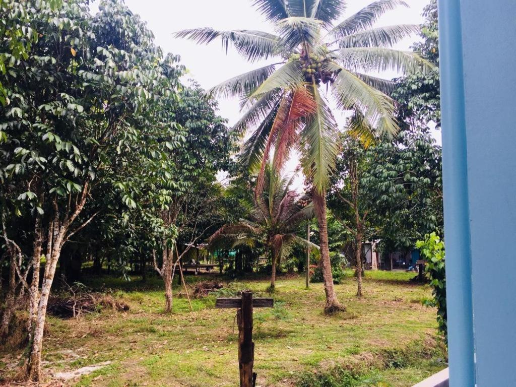 Hostel Baan Kalaya Garden *