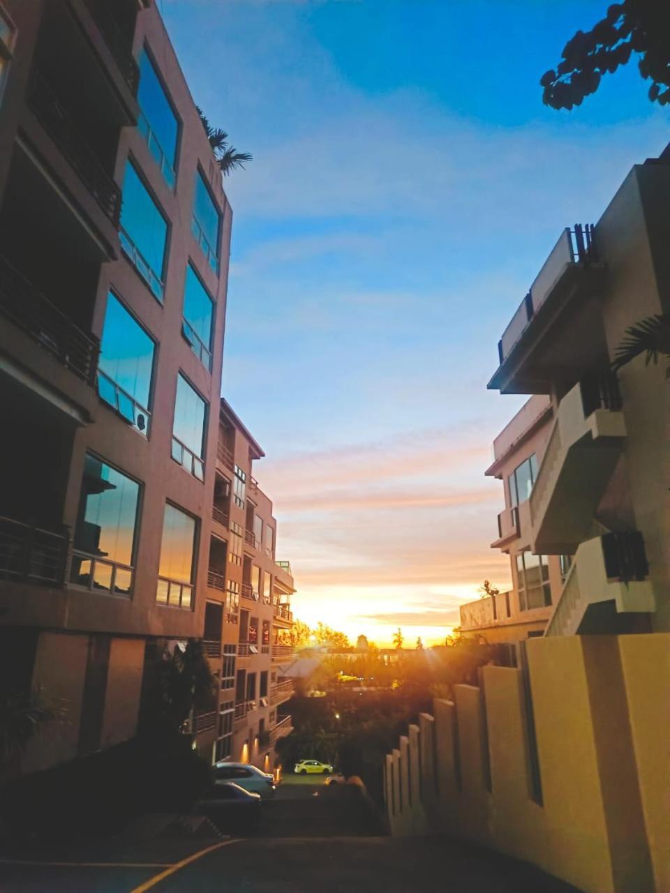 View *