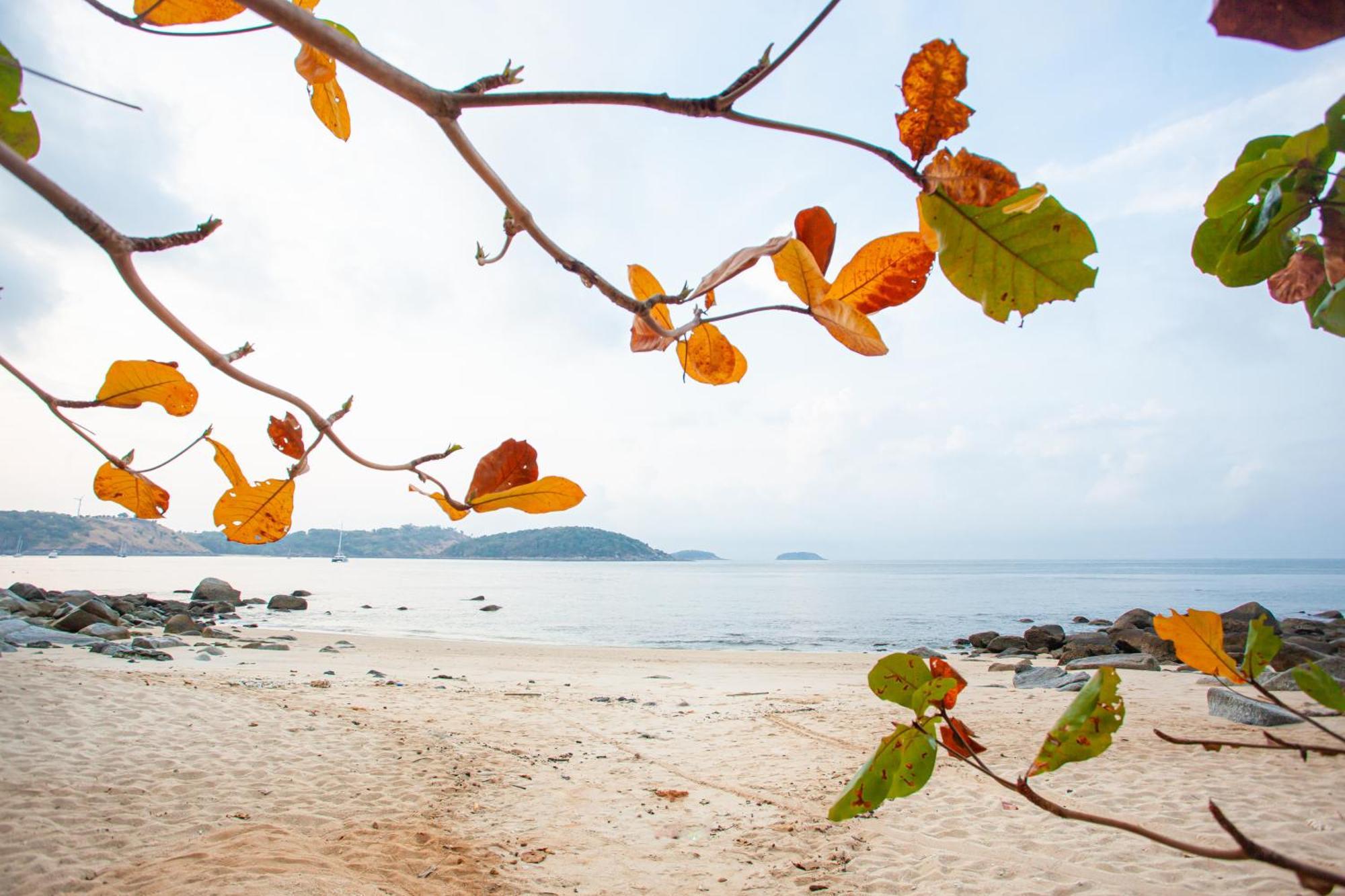 Resort Baan Krating Phuket -sha Nai Harn