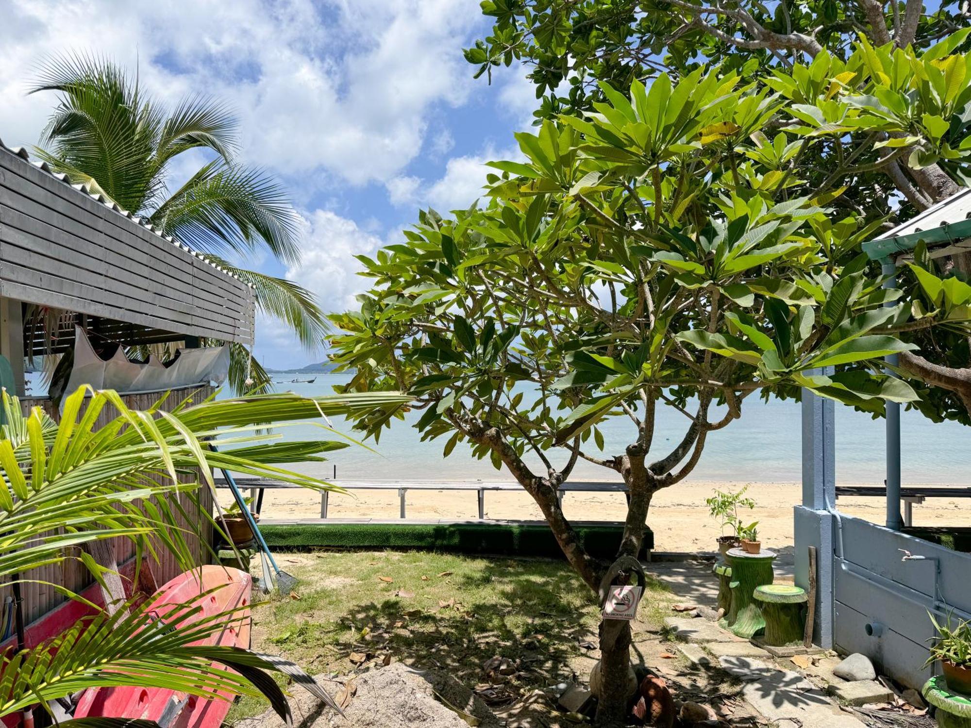 Apartment Sea Dreamer Beachfront