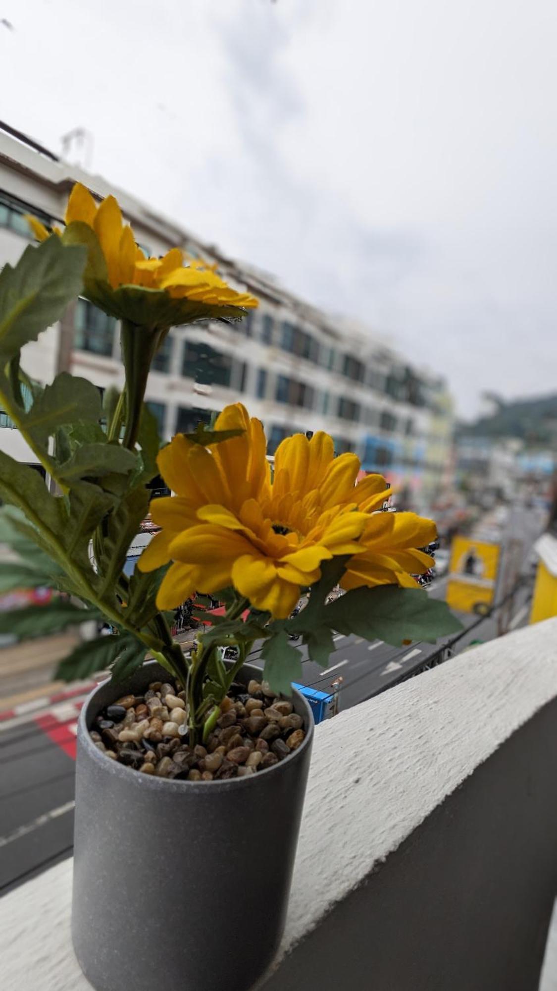Heaven House Restro & Bar Hotel Patong