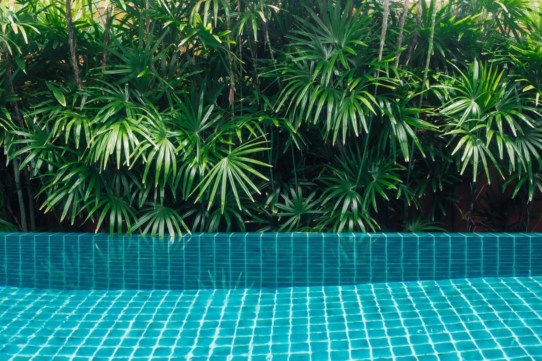 Chaba Pool * Nai Harn