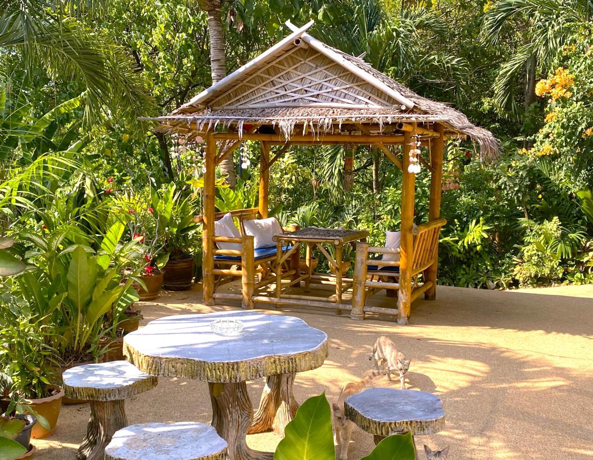 Villa Oasis 3, 4, Or 5 Bedroom Karon