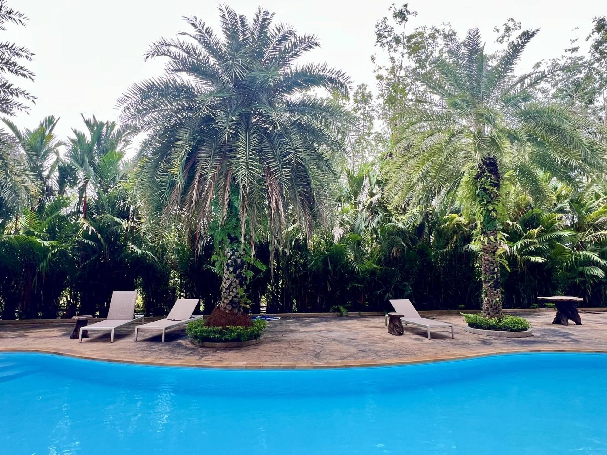Apartment Mai Khao Serenity Ban Mai Chalae