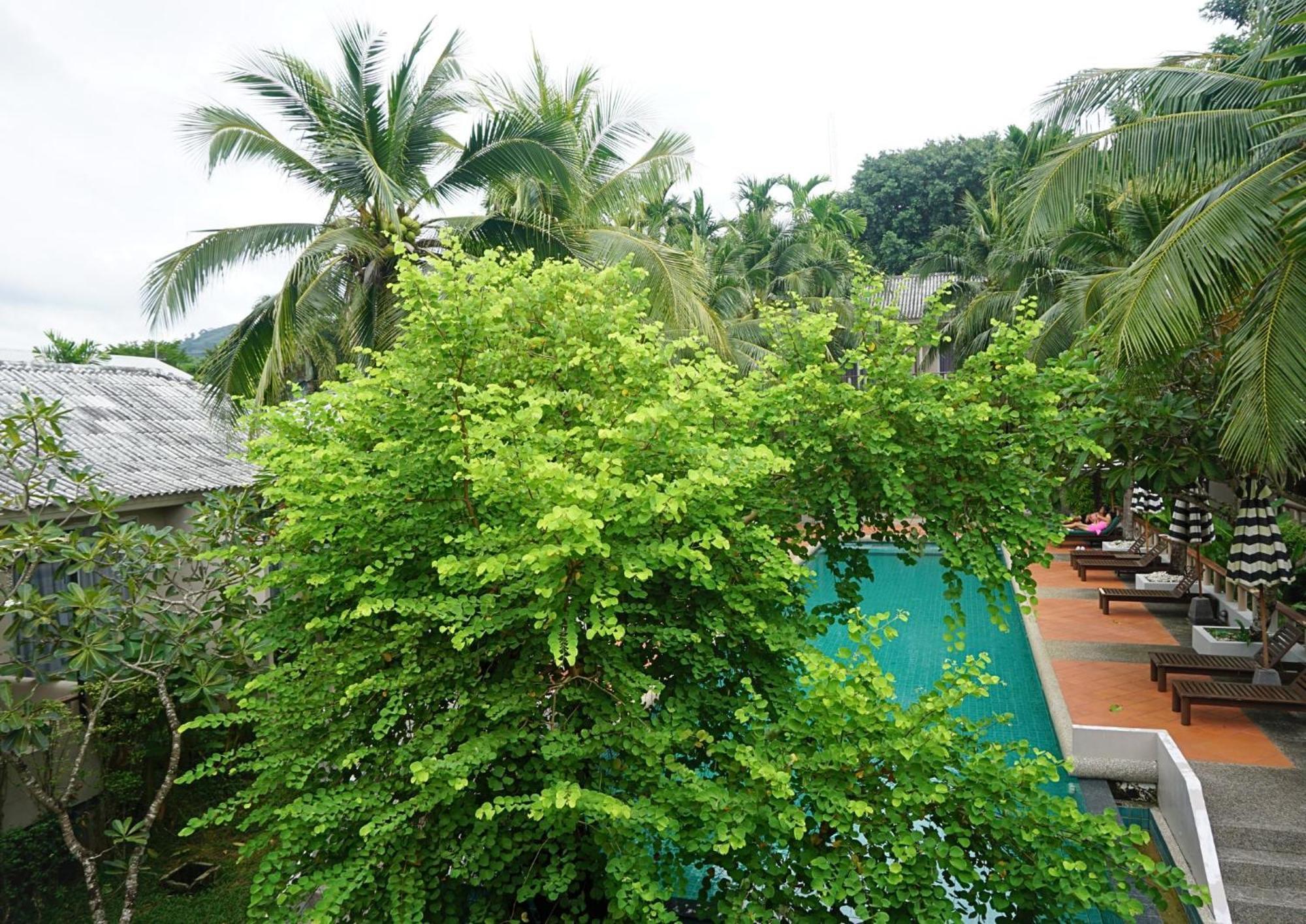 Resort Signature Phuket 4*