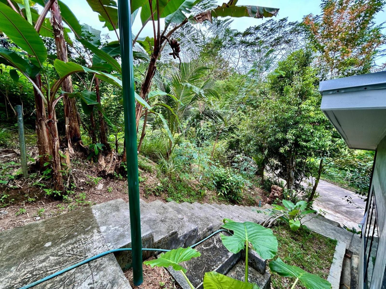 Phuket Phuchada
