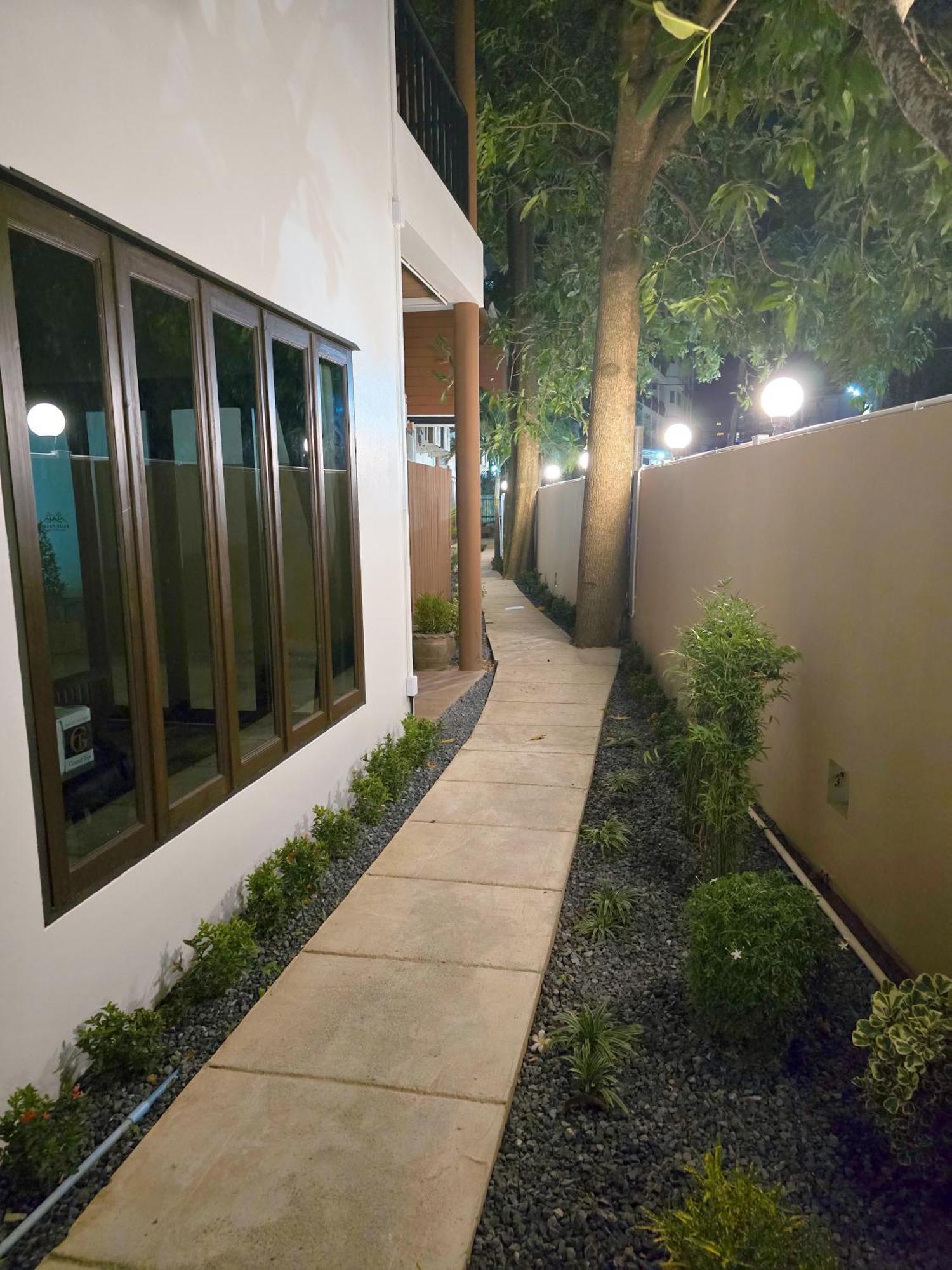 Resort Blue Palm