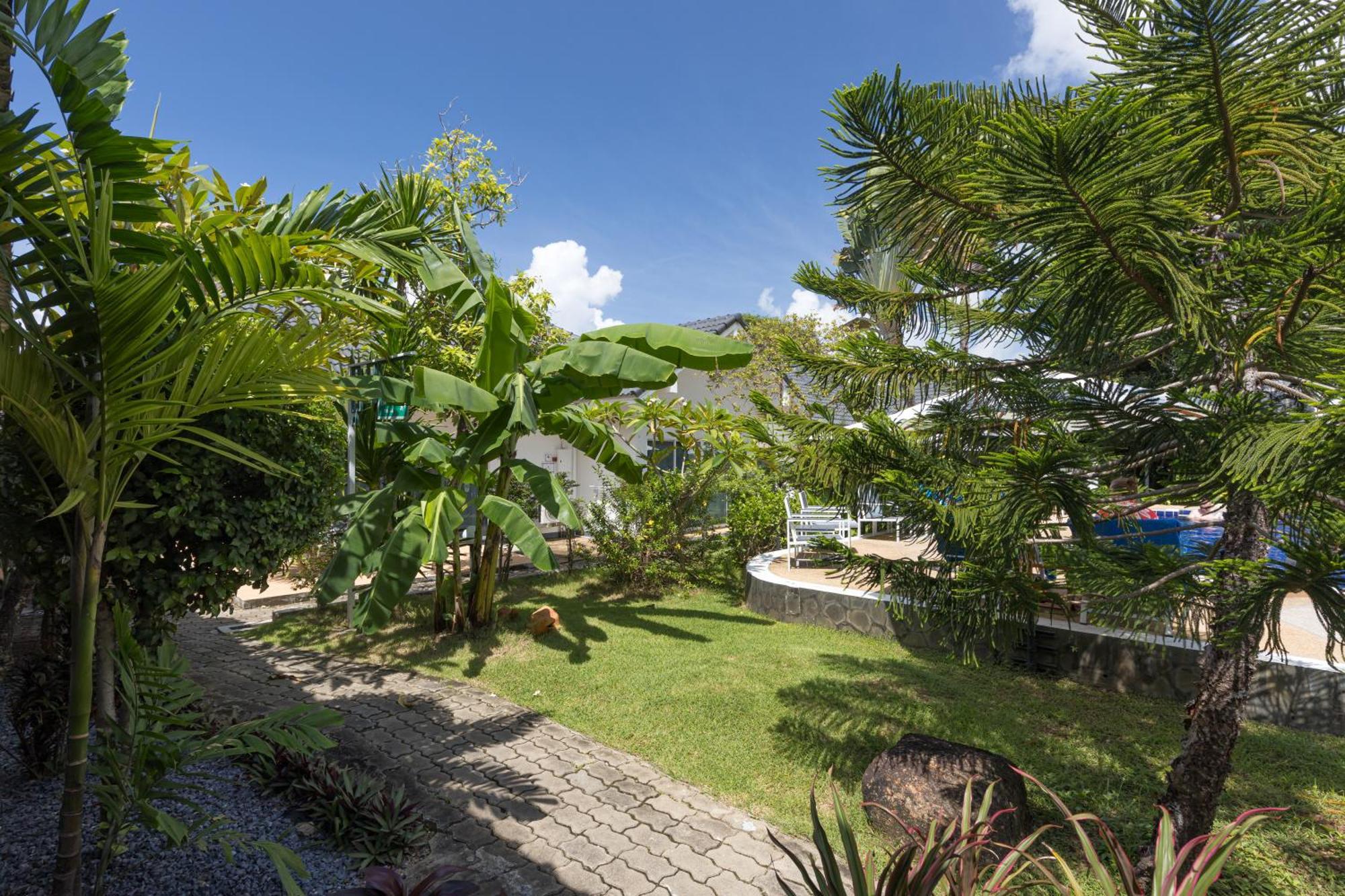 Blue Palm