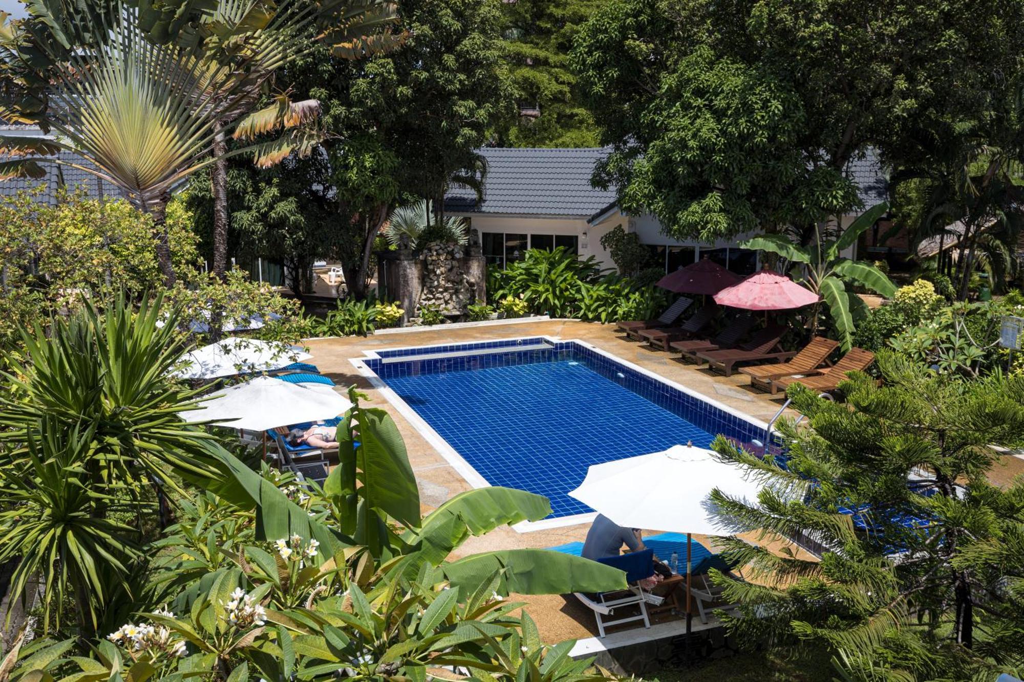 Resort Blue Palm