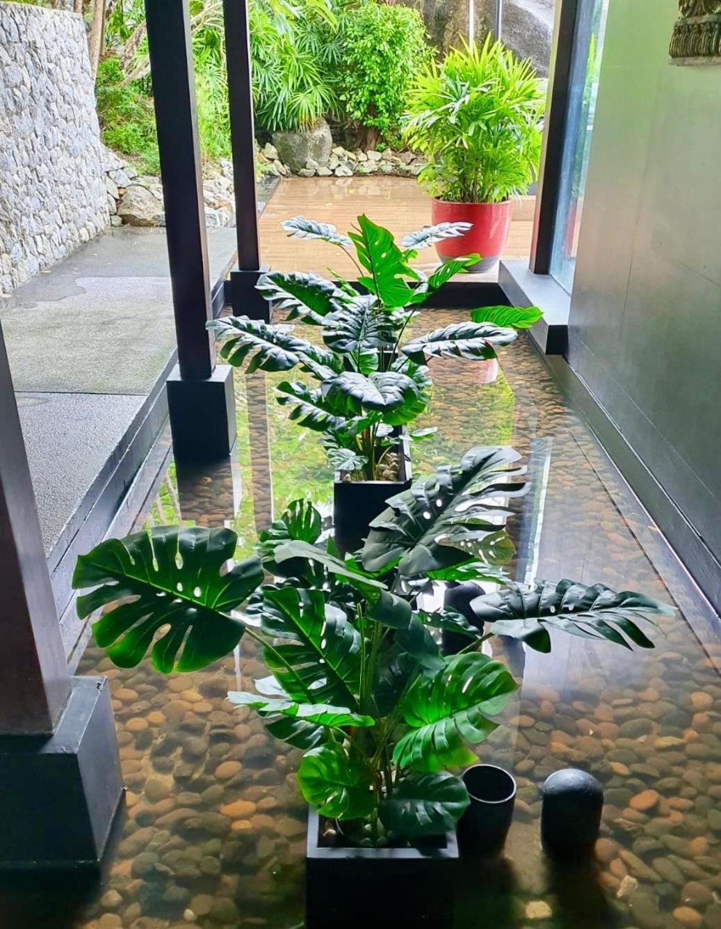 Yin, Private Oceanfront Villa, * Kamala Beach