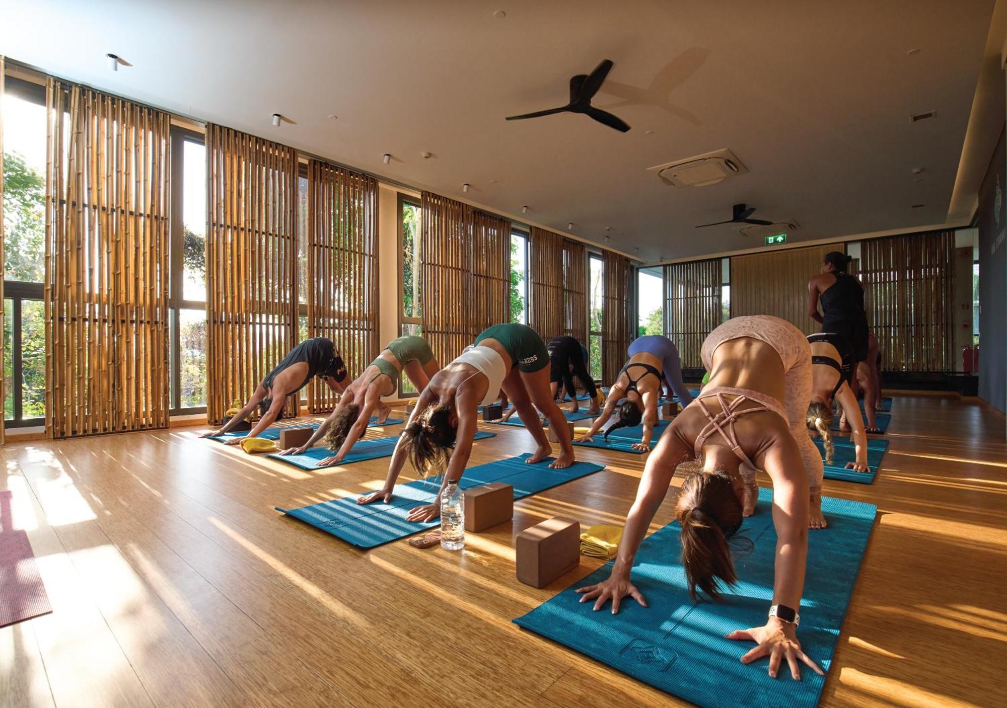 Wellbeing & Lifestyle