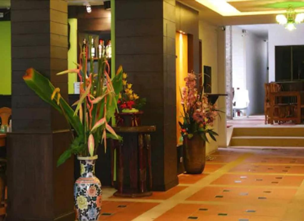 Hotel Mt 3*