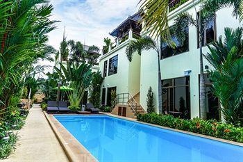 Palm Oasis *