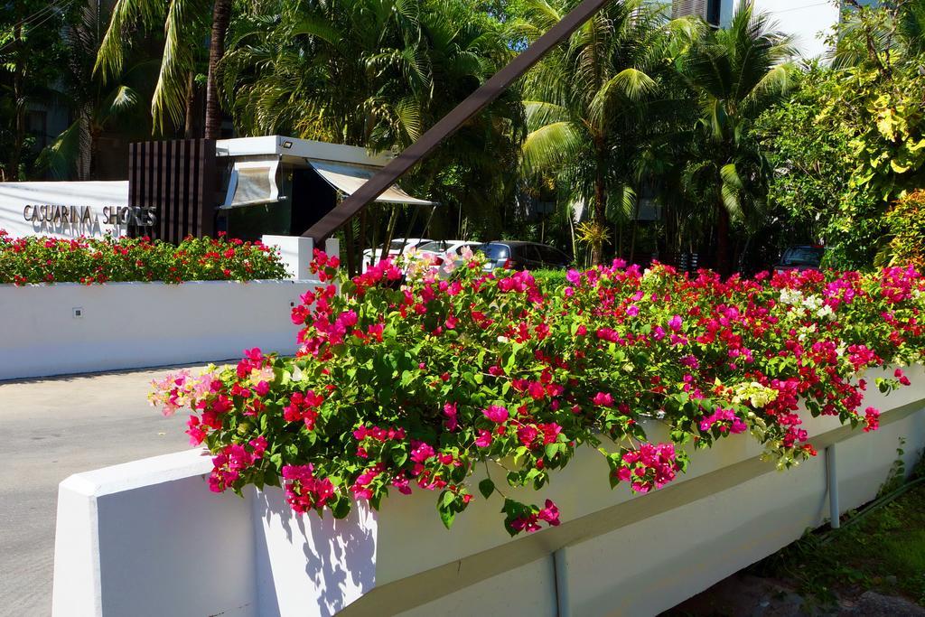 Aparthotel Casuarina Shores - Sha 4*
