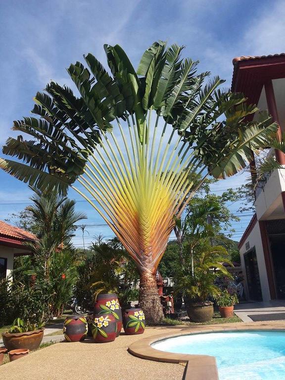 Guest house Sansuko Cape Panwa