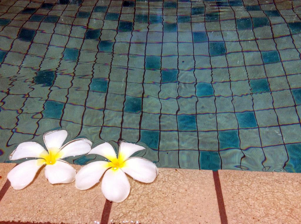 Apartment In The Title Rawai