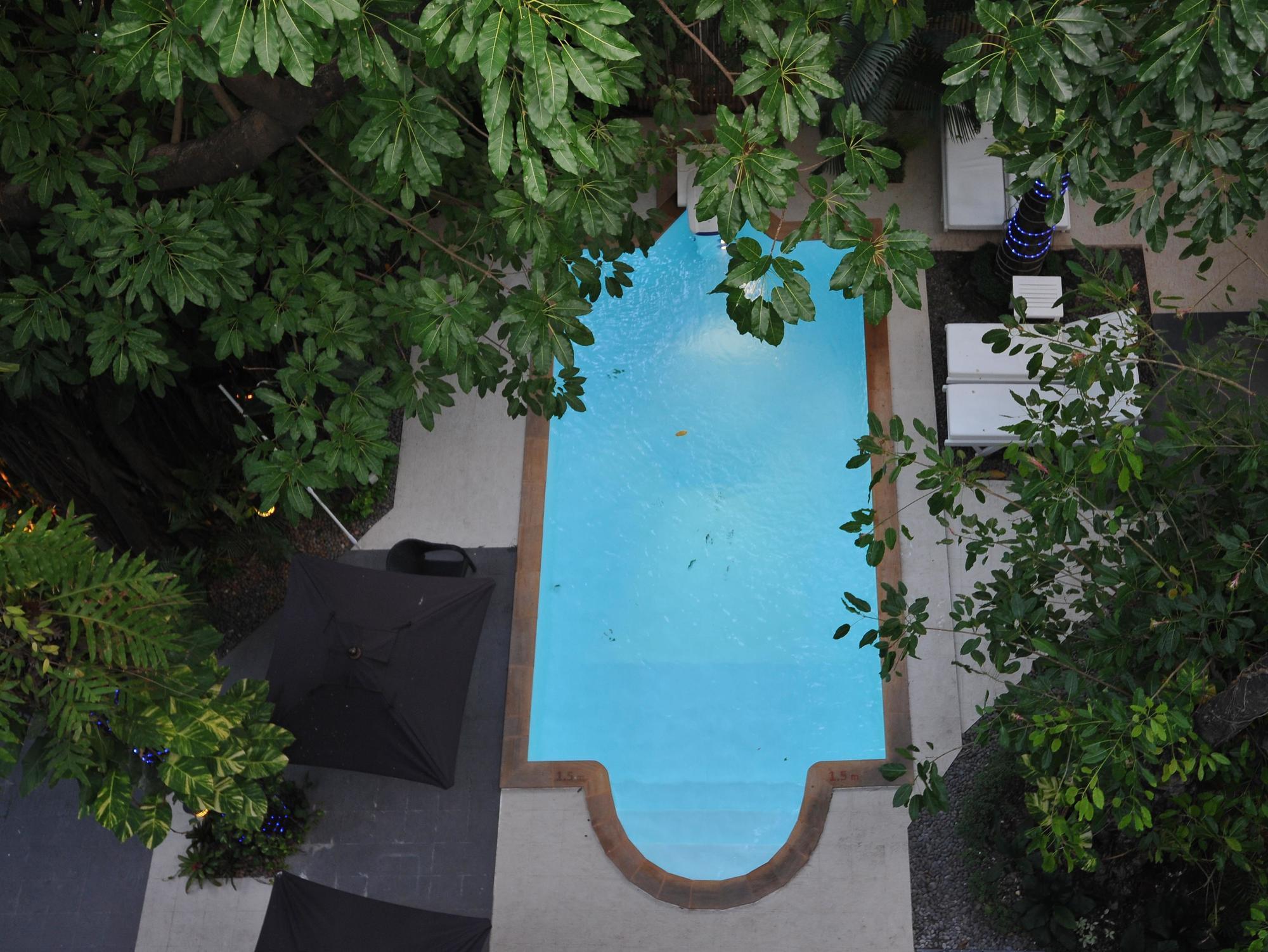 Siam Palm 4*