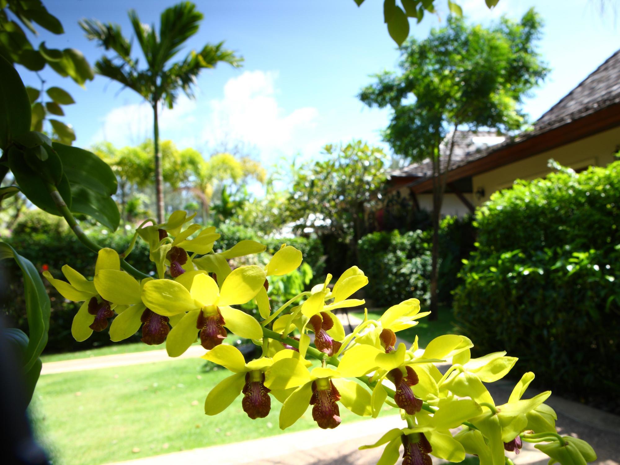 Pai Tan - Sha Extra 3* Bang Tao Beach (Phuket)