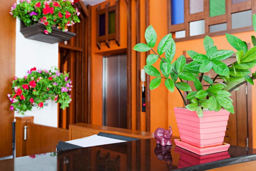 Garden Phuket Patong