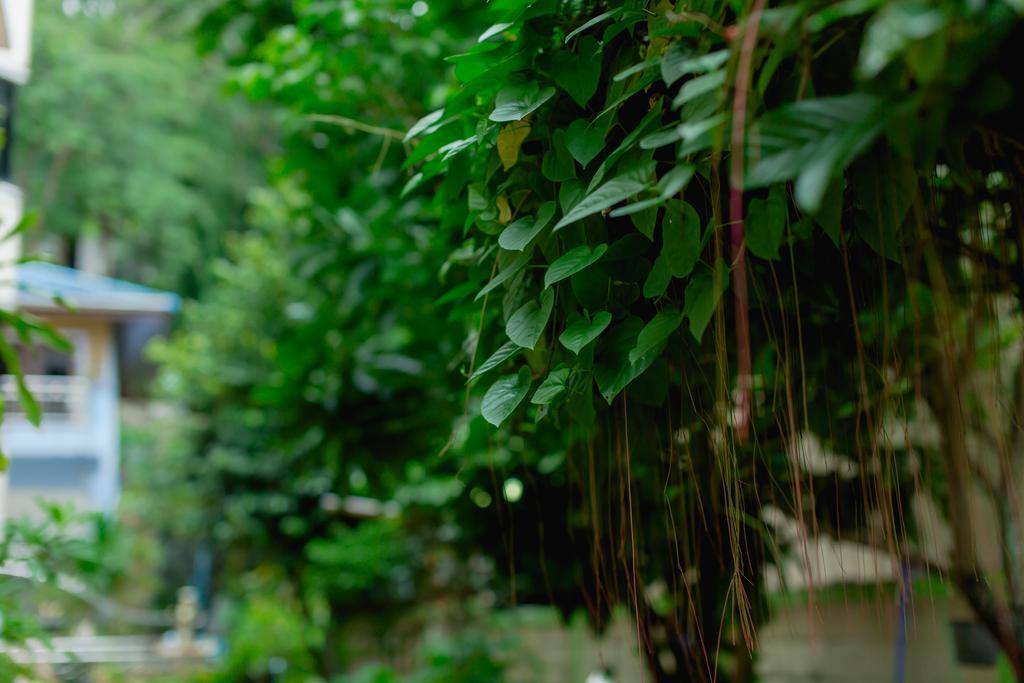 Guest house Rk Guesthouse