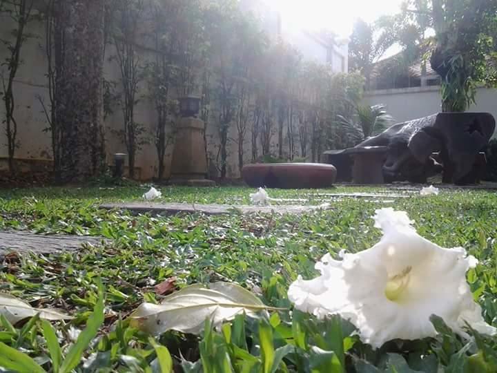 House Phuket *