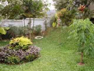Thai Modern & 