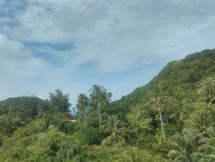 Hotel The Windmill Phuket 4*