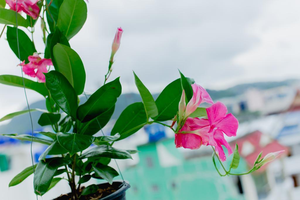 Rk Guesthouse Guest house