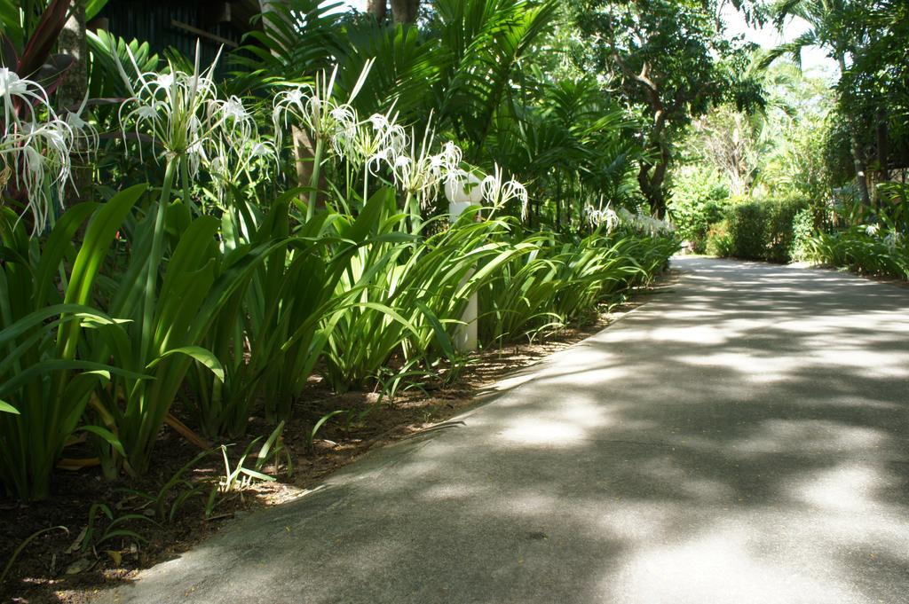 Palm Village