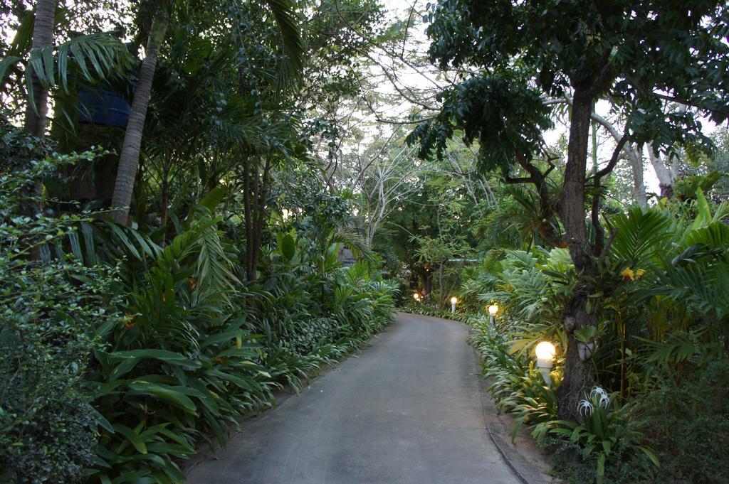 Palm Village Rawai
