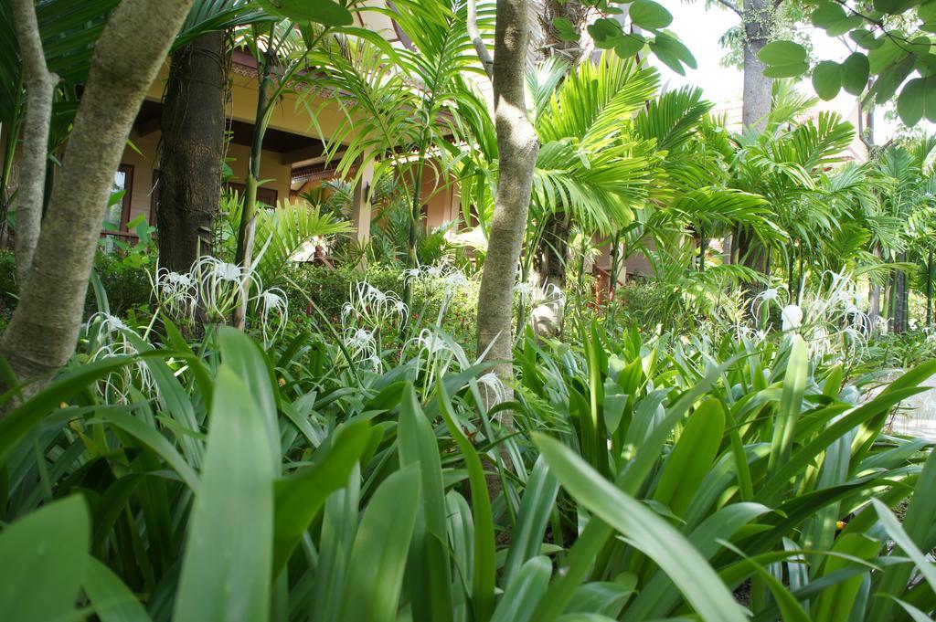 Palm Village Resort 3*
