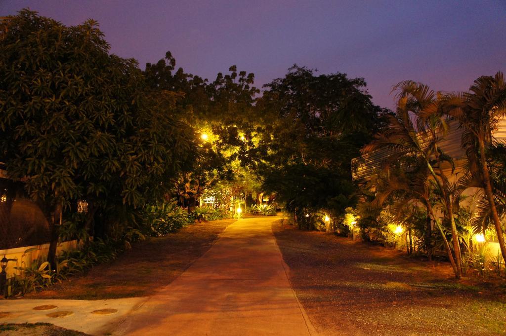 Palm Village 3*