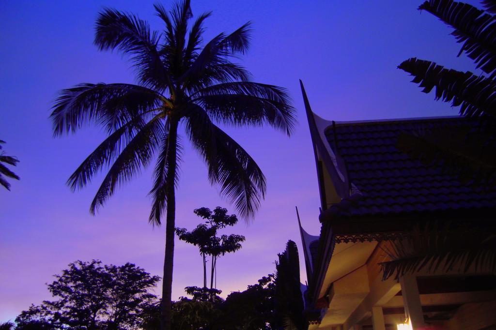 Palm Village