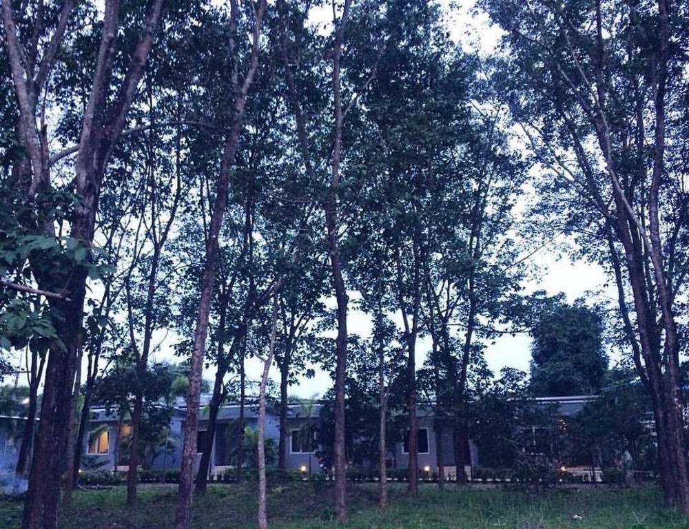 Saiyuan Garden