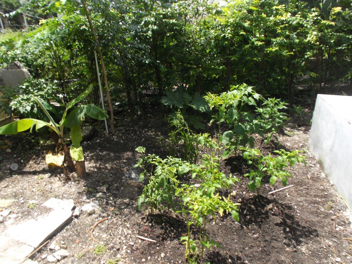 Resort Mali Garden 2*
