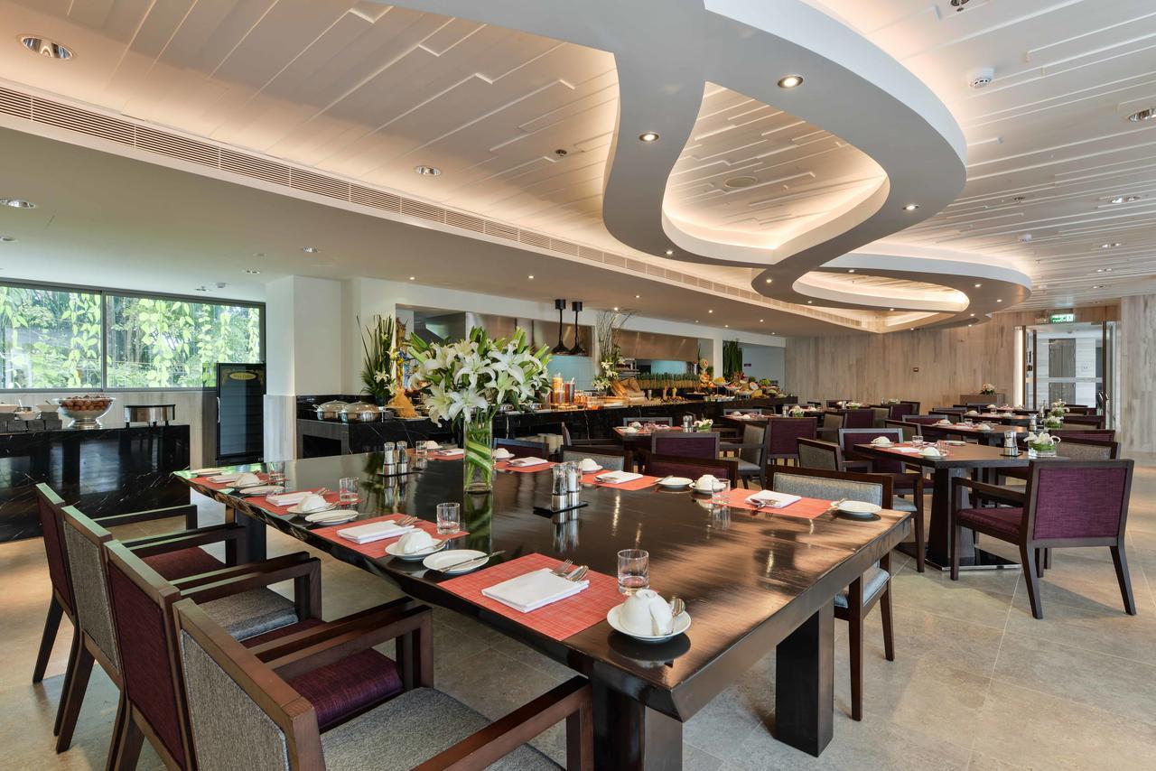 Hotel Dream & 5*