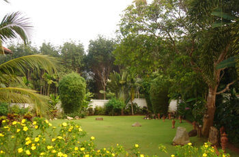 The Garden *