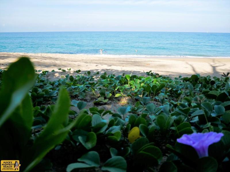 Micky Monkey Beach At Maikhao Beach 2* Mai Khao