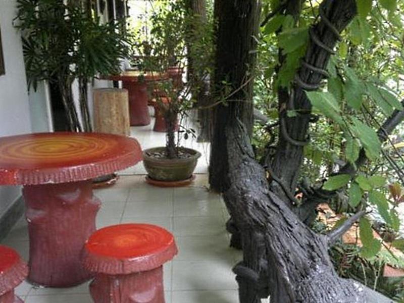 Ruan Mai San Ngam - Sha Nai Yang