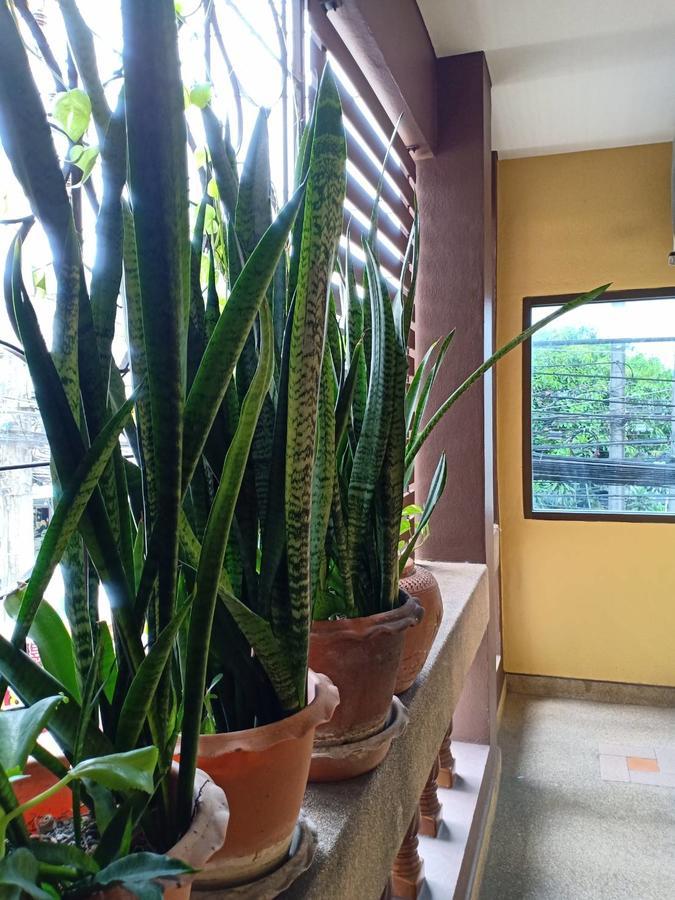 Kookkai House Hostel Patong