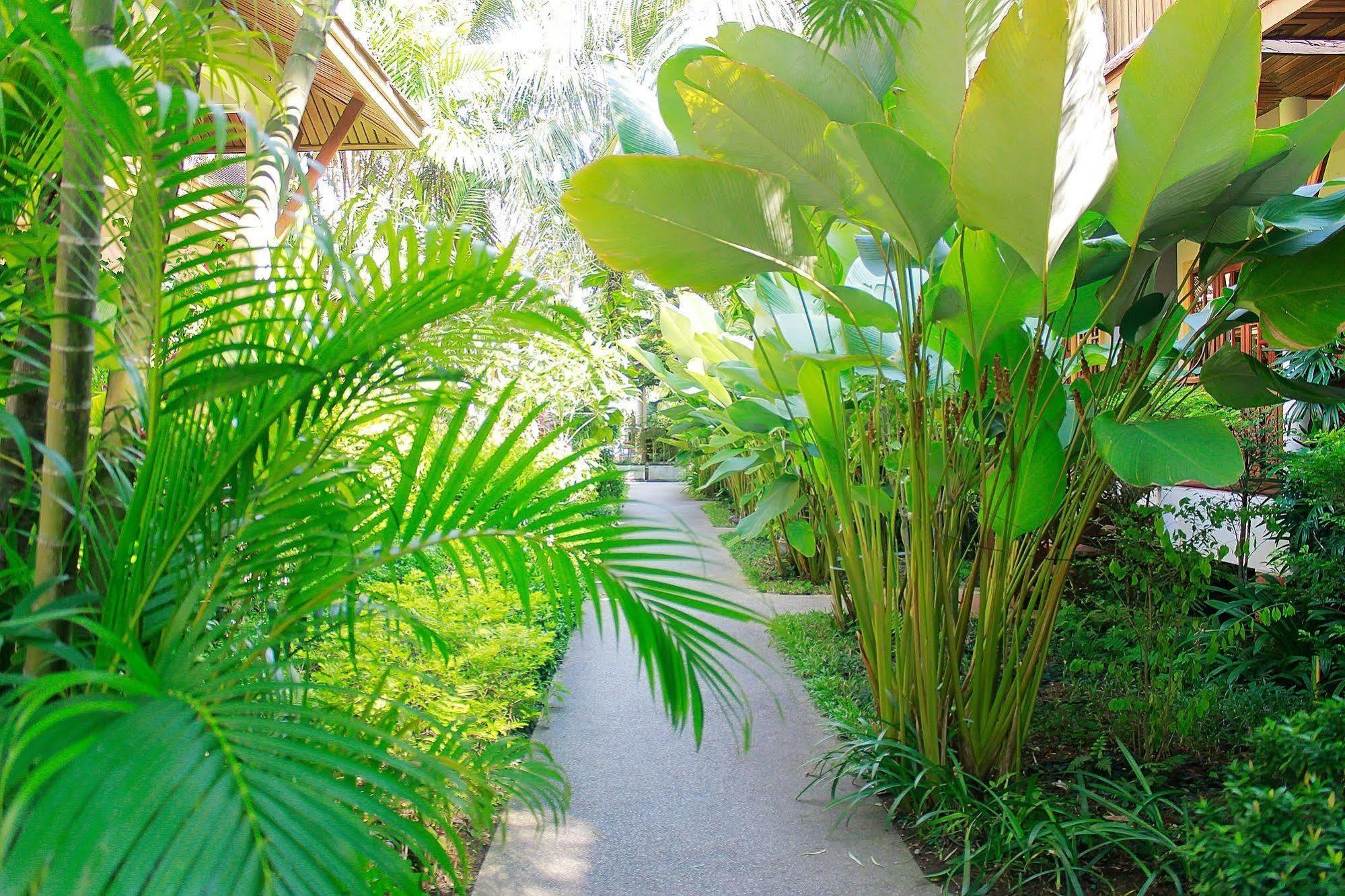 Bangtao Village - Sha 3*