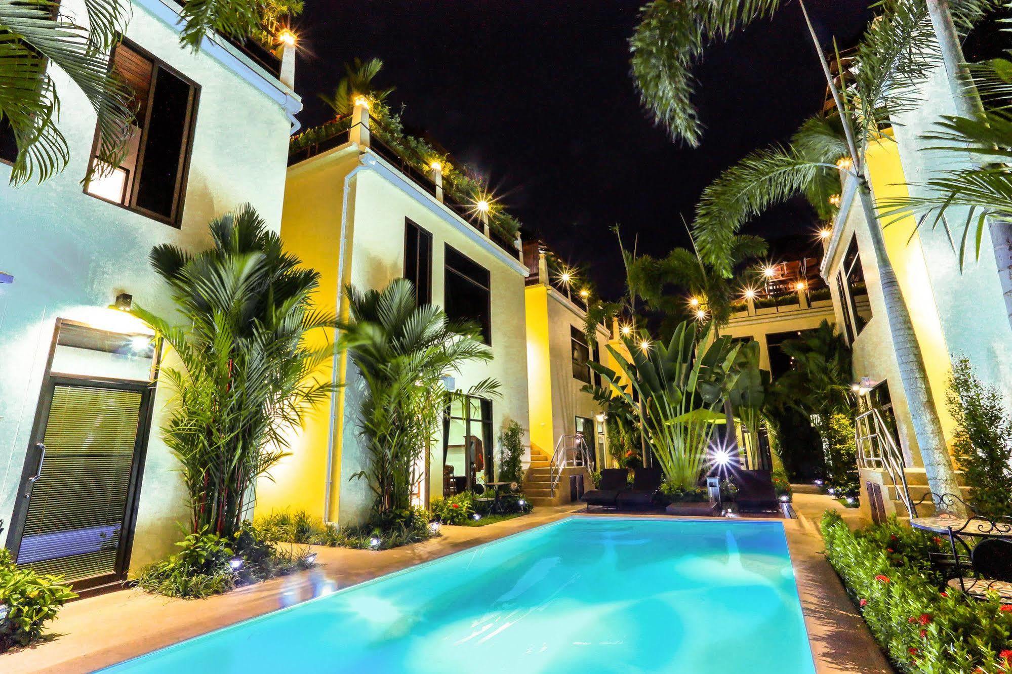 Palm Oasis *