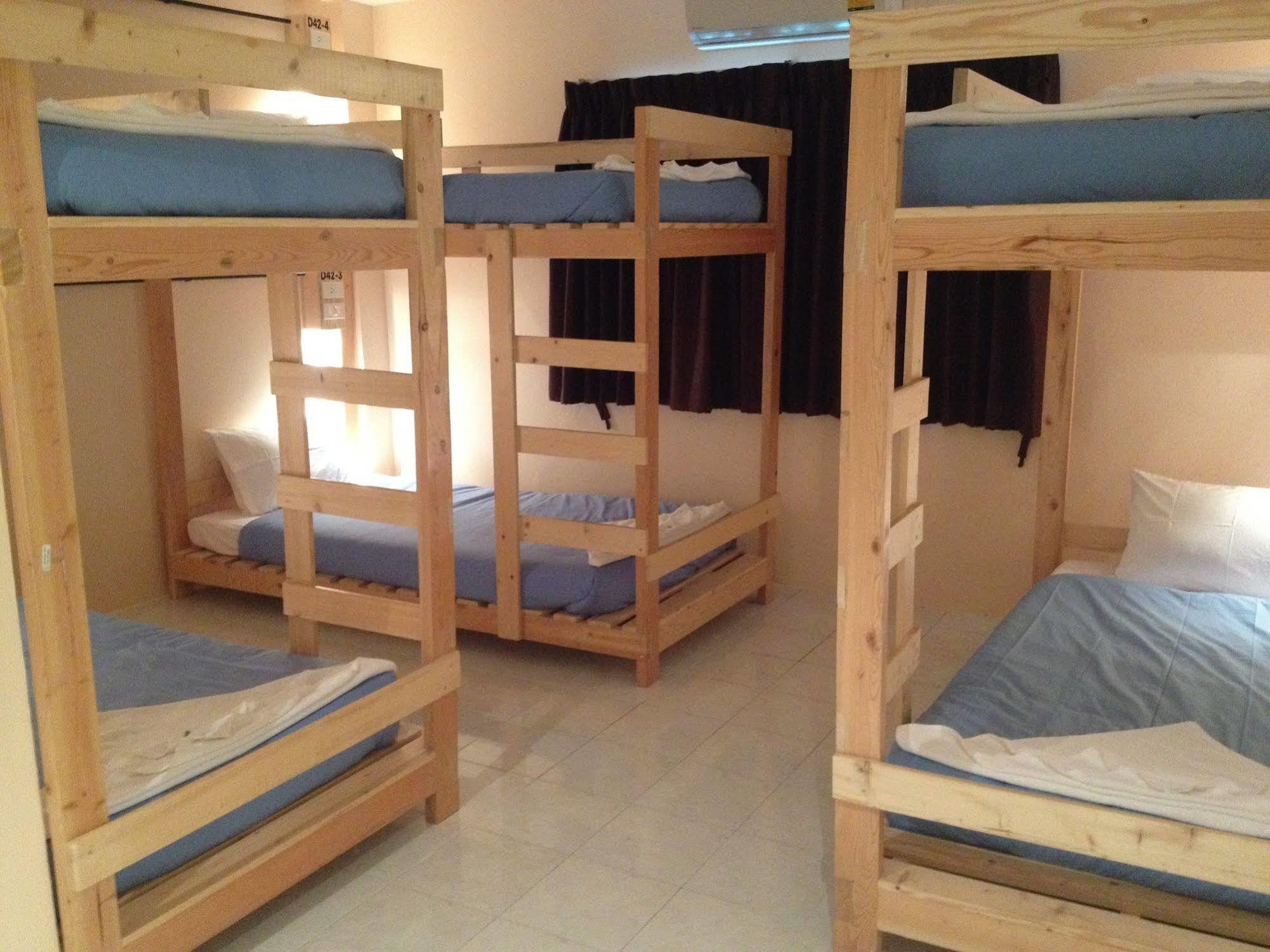 Hostel Dfeel House