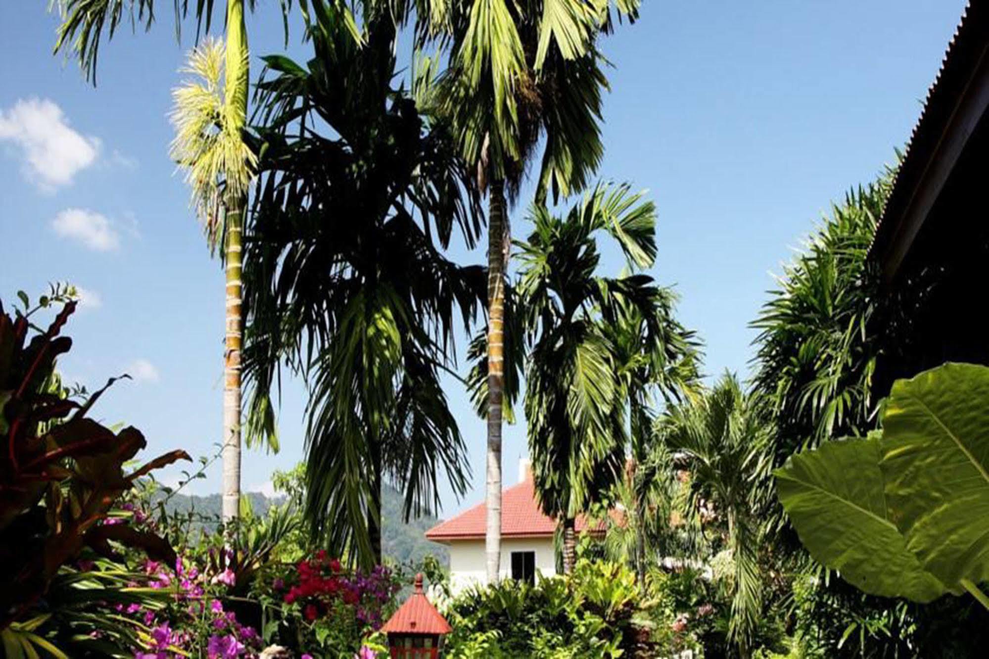 Resort Patong Cottage Resort