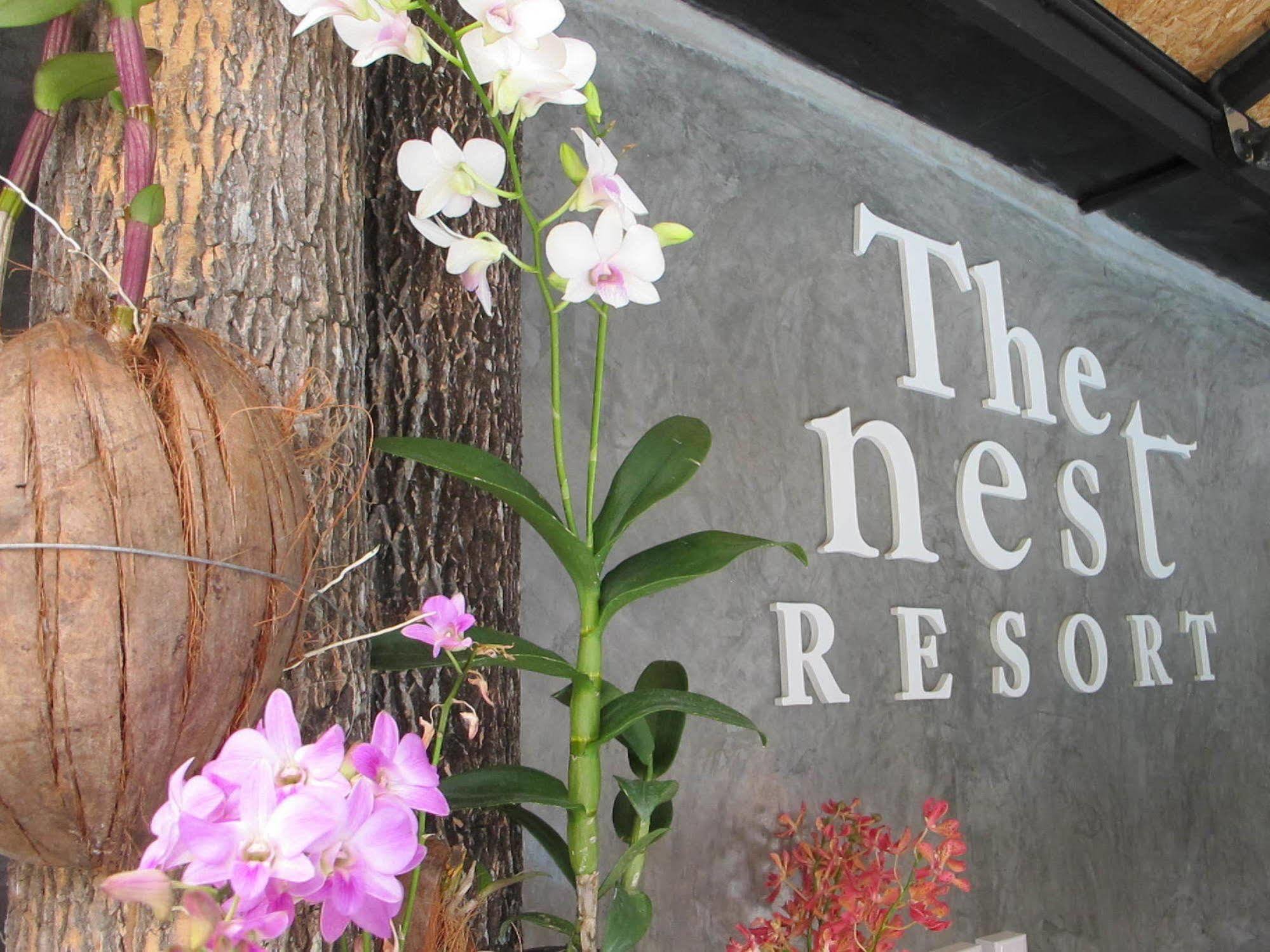 The Nest Resort 3*