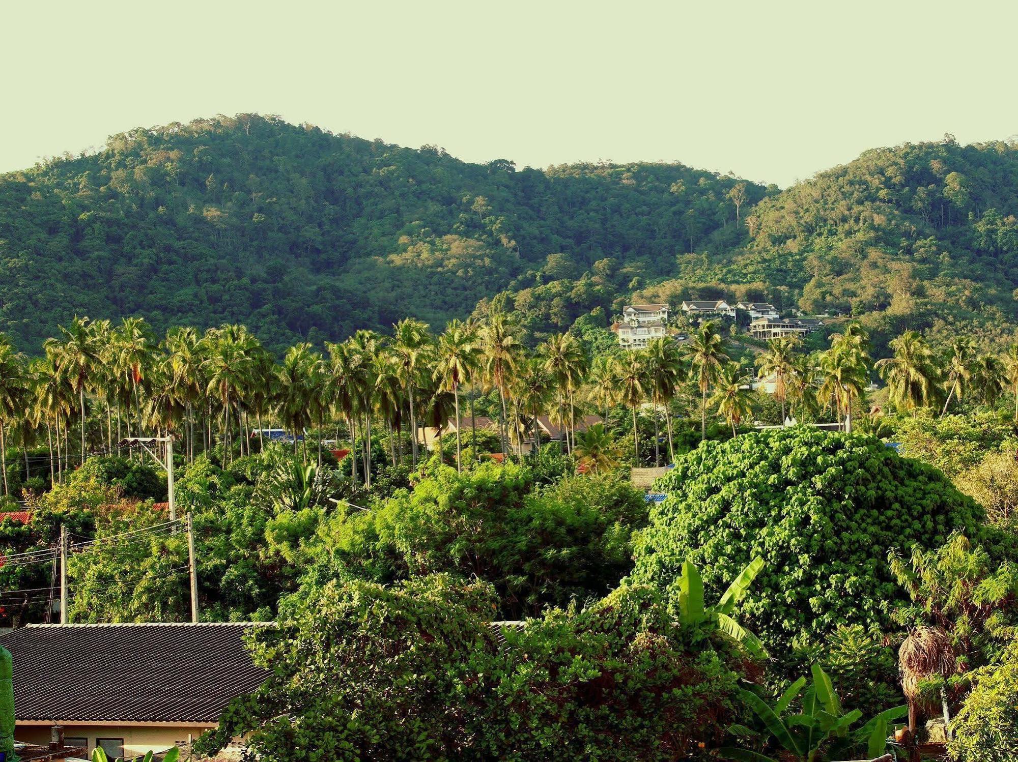 Tropical Sands Nai Harn
