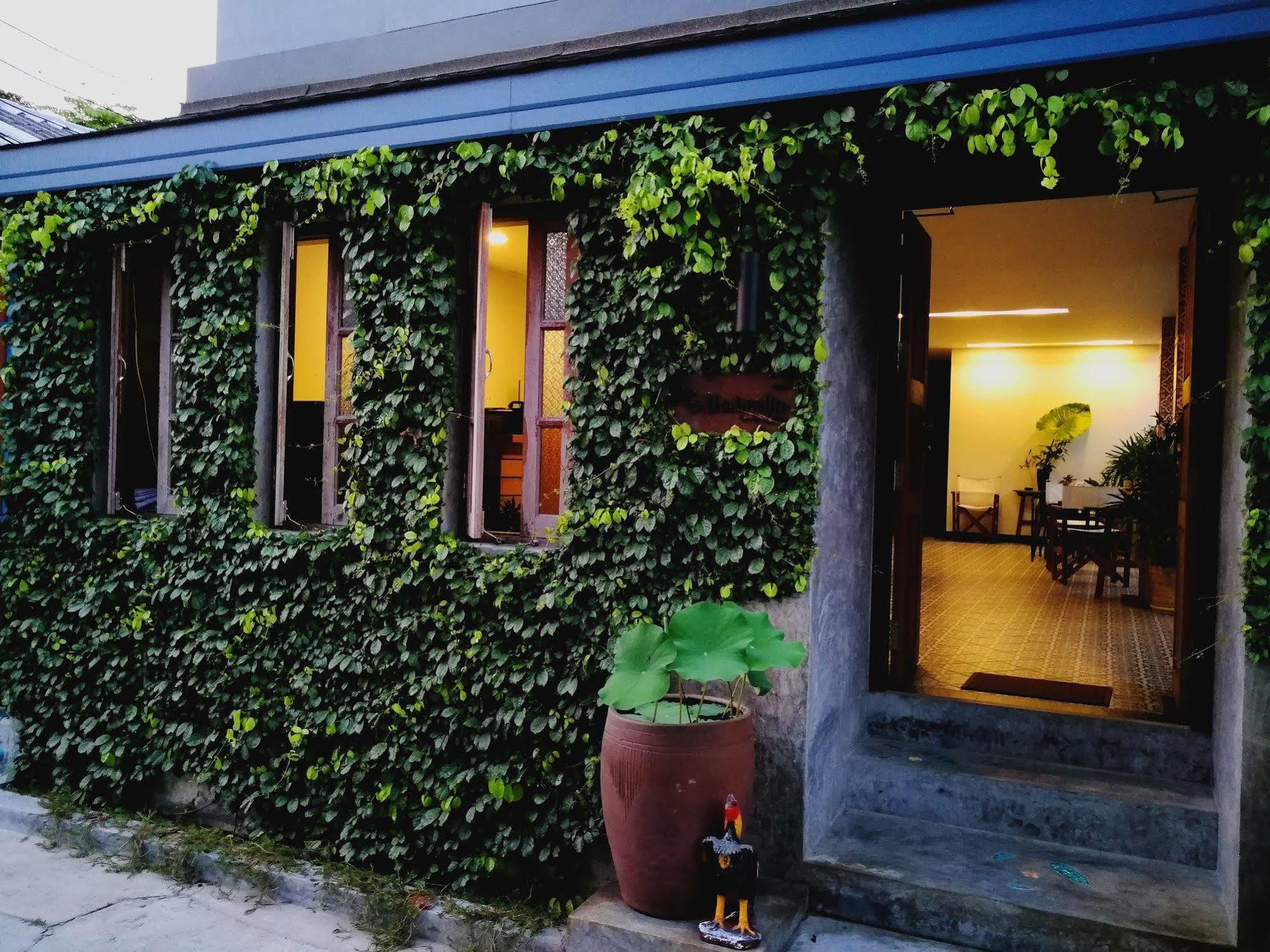 The Umbrella House - Sha Extra