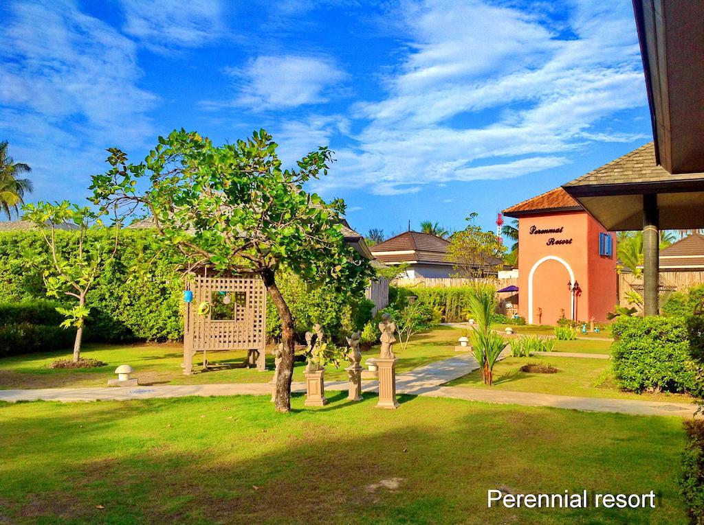 Perennial