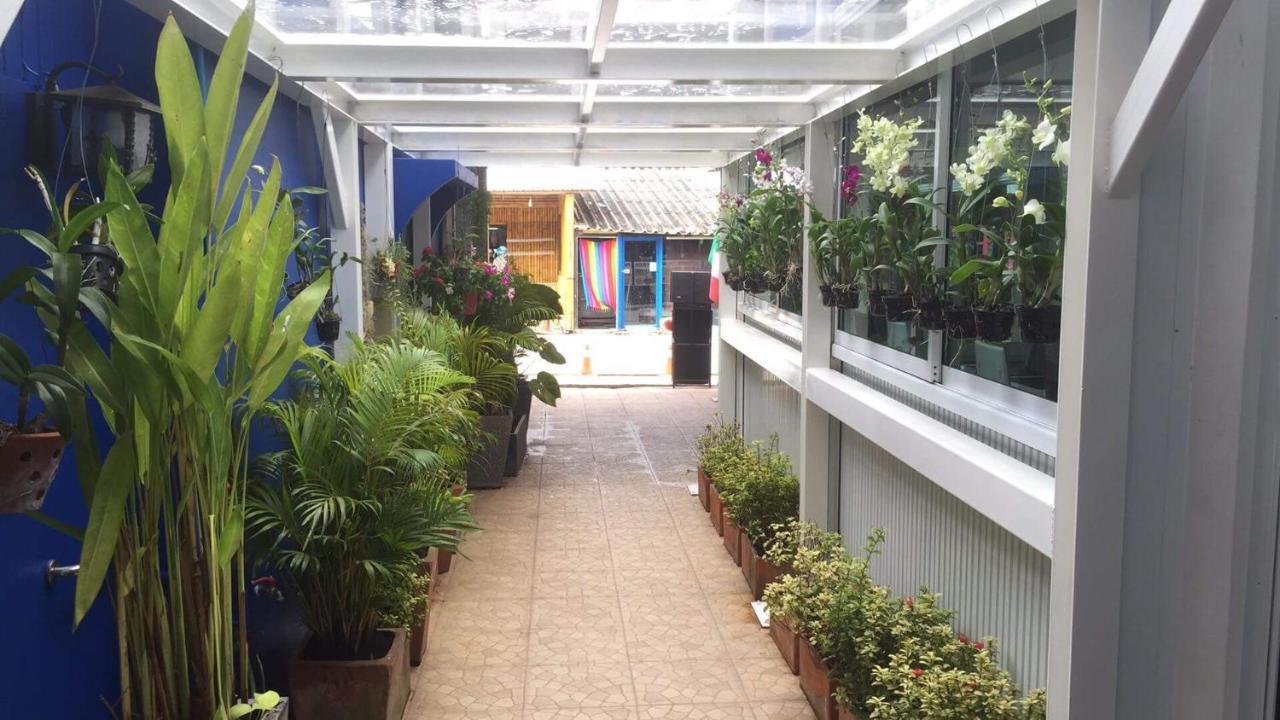 The Mareeya Place Guest house Kamala Beach