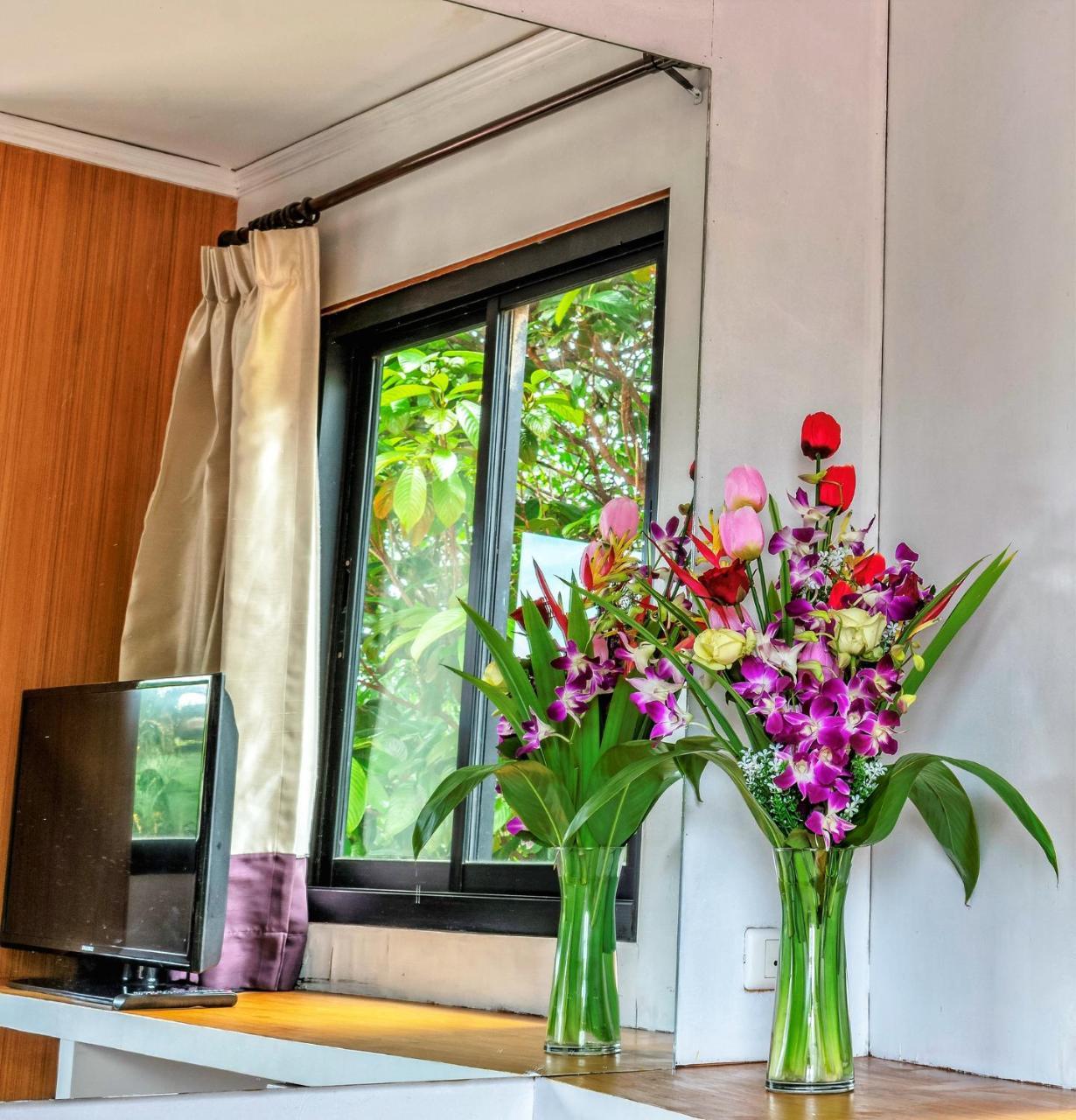 Corsica Bed & Breakfast
